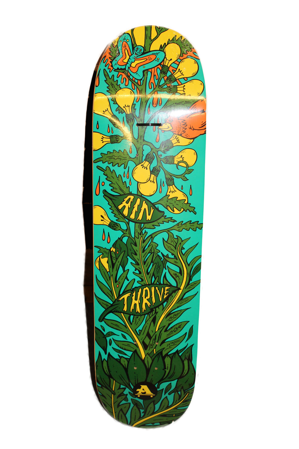 New All I Need Decks